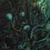 Untitled (2002)