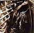 Le Dogon