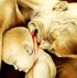 Saturn Devouring the Children (2001)