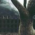 Arbre (1989)