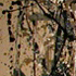 One (1950)